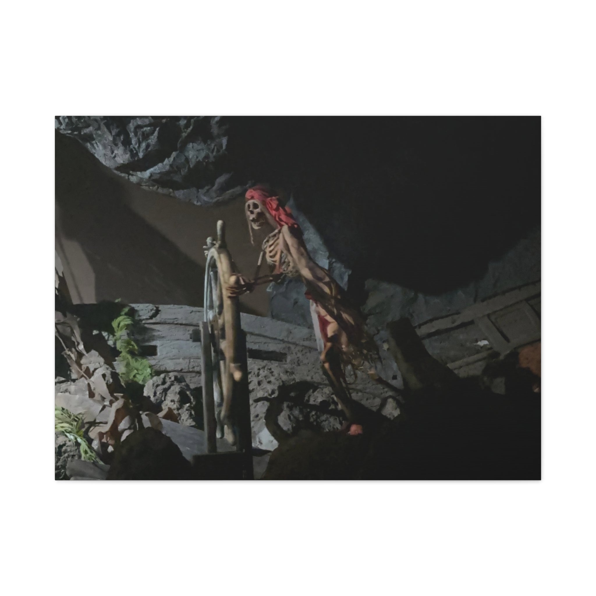 Shipwreck Skip Canvas Art