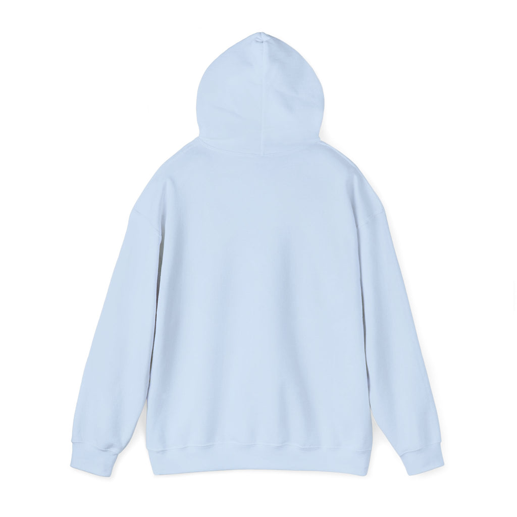 Shipwreck Skip Hoodie