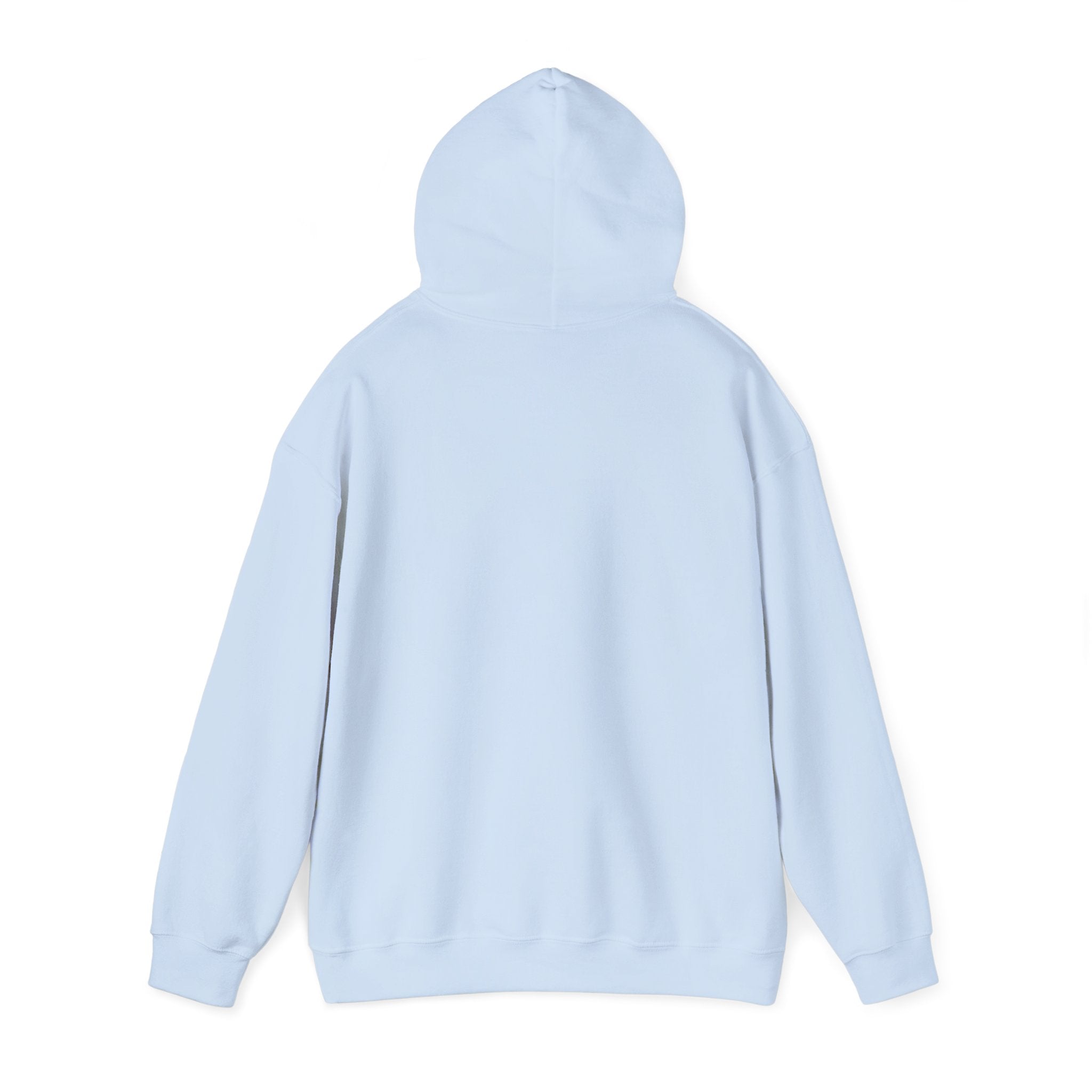 Shipwreck Skip Hoodie