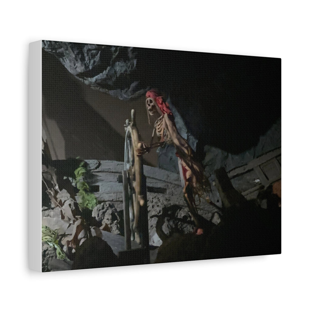 Shipwreck Skip Canvas Art