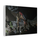 Shipwreck Skip Canvas Art