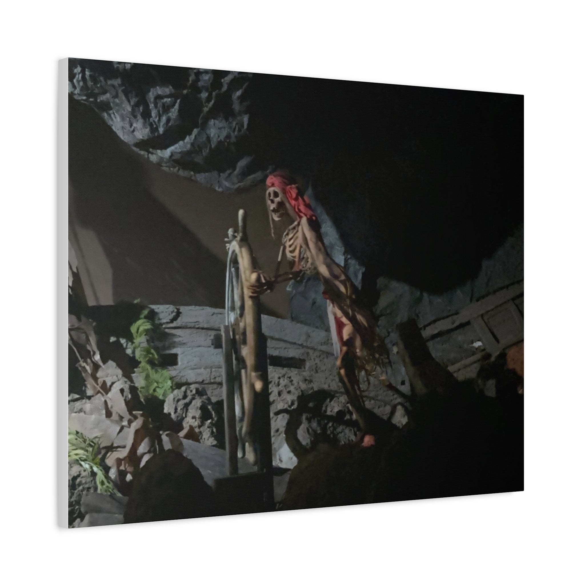 Shipwreck Skip Canvas Art