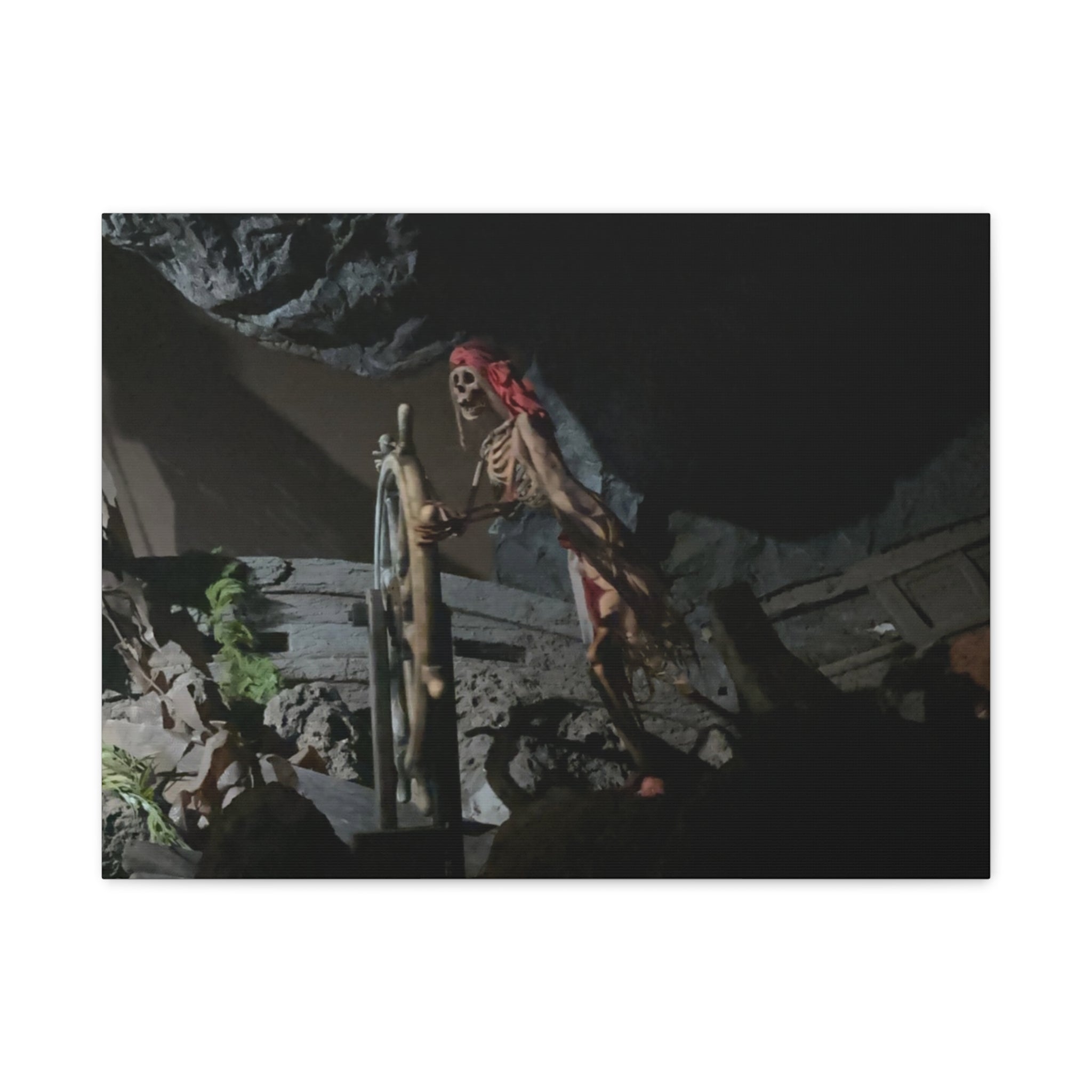 Shipwreck Skip Canvas Art