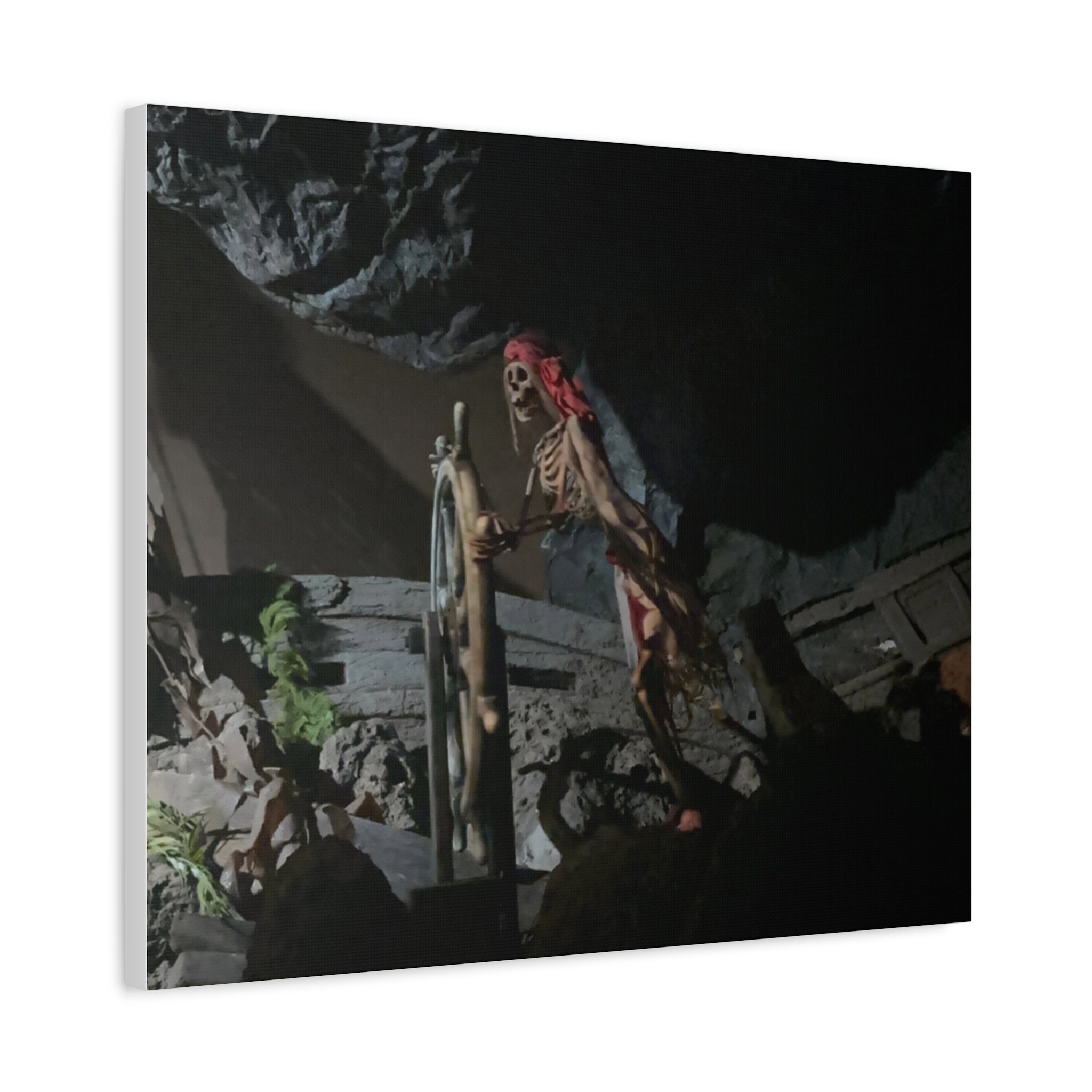 Shipwreck Skip Canvas Art