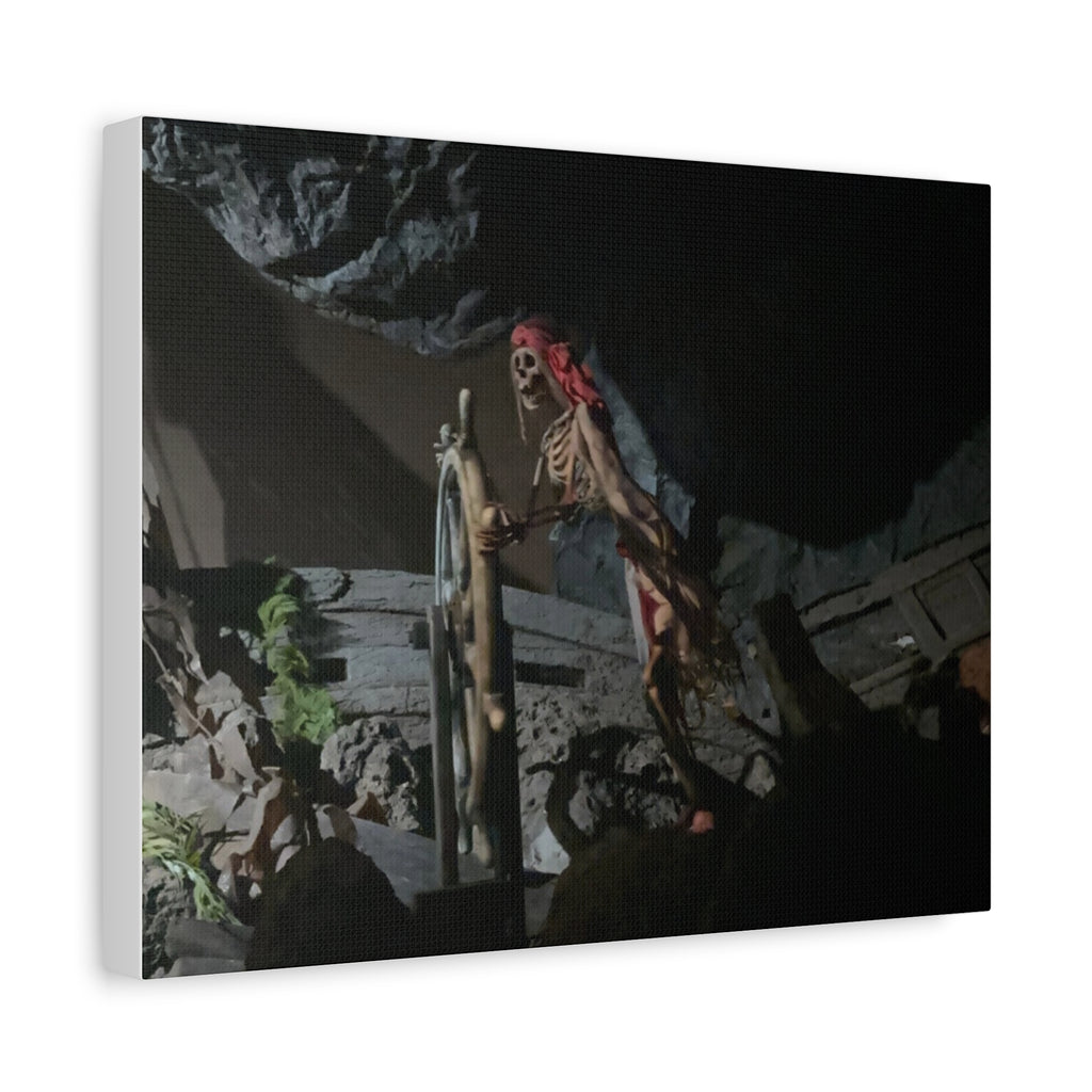 Shipwreck Skip Canvas Art