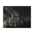 Shipwreck Skip Canvas Art