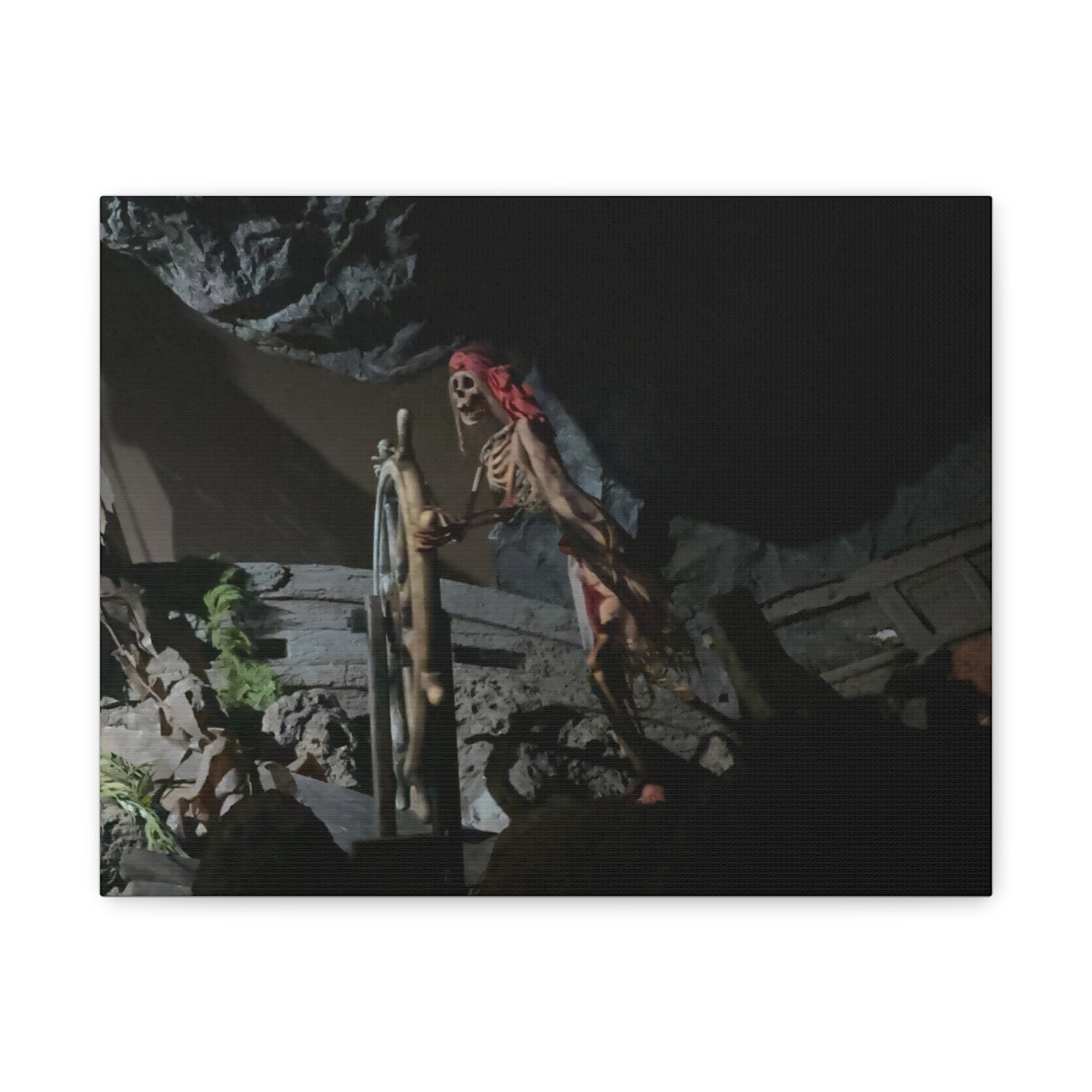 Shipwreck Skip Canvas Art