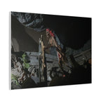 Shipwreck Skip Canvas Art