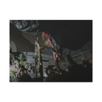 Shipwreck Skip Canvas Art