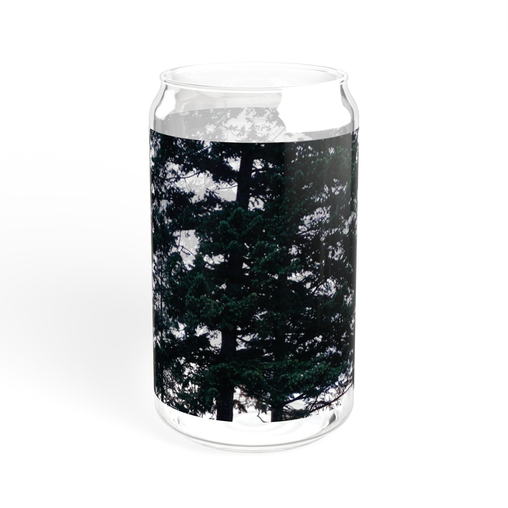Clear Montana Forest Glass Sipper 16oz