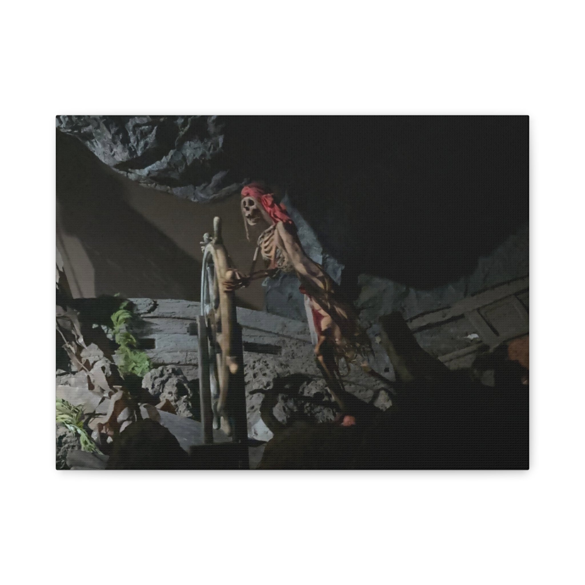 Shipwreck Skip Canvas Art