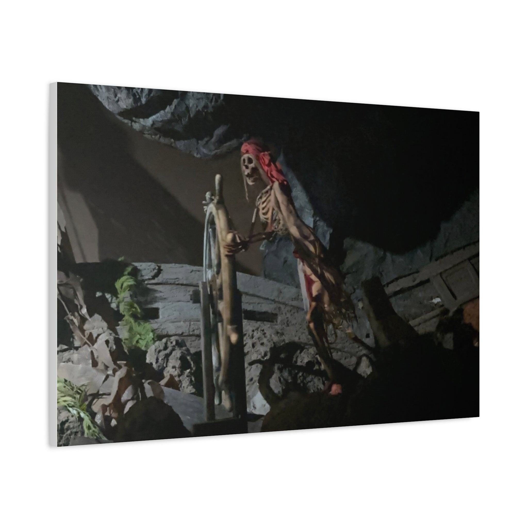 Shipwreck Skip Canvas Art