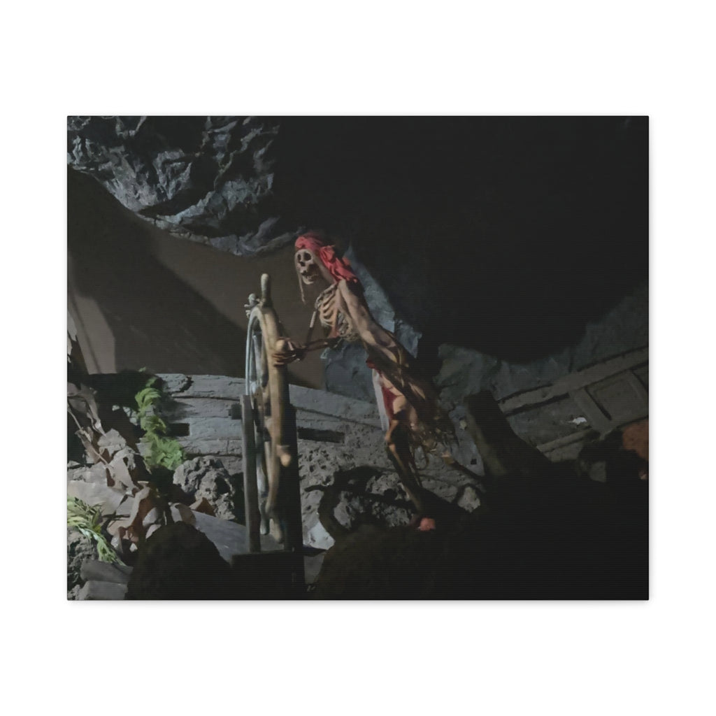 Shipwreck Skip Canvas Art