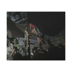 Shipwreck Skip Canvas Art