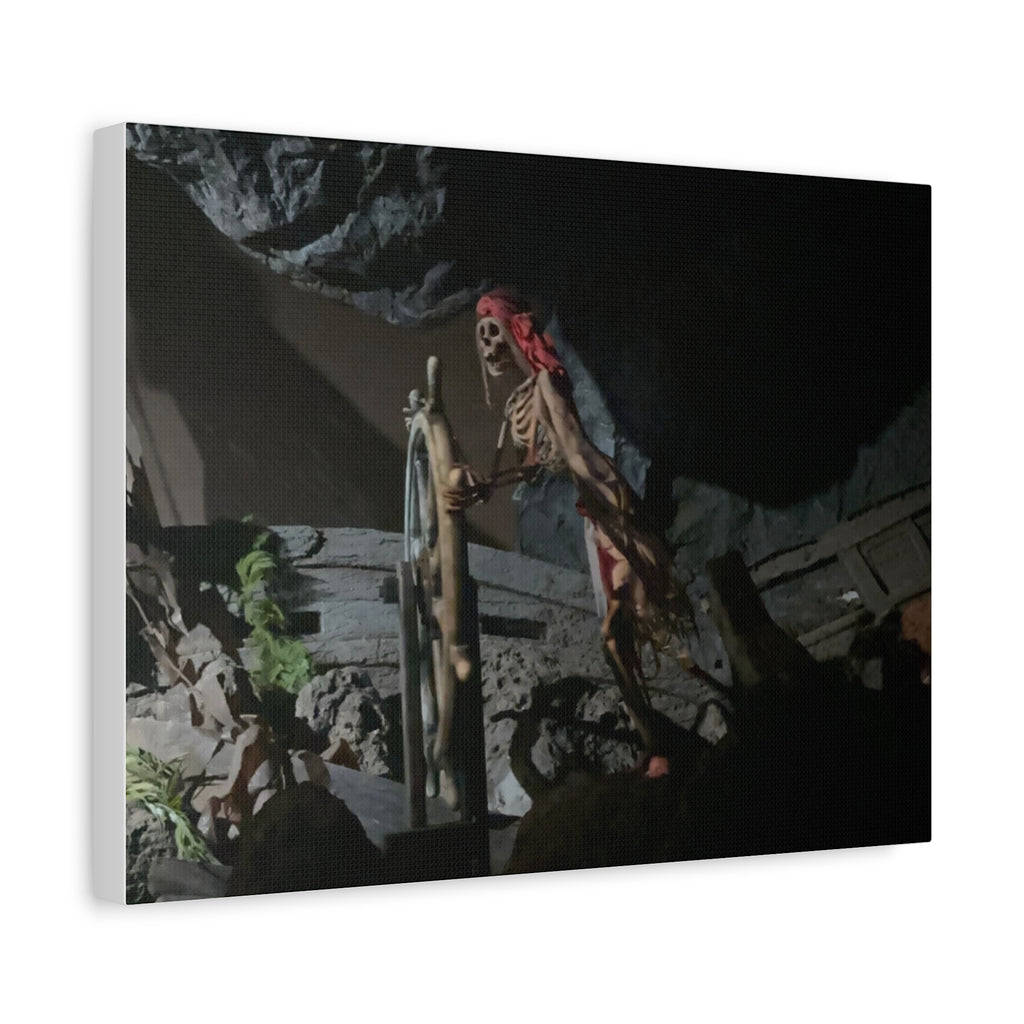 Shipwreck Skip Canvas Art