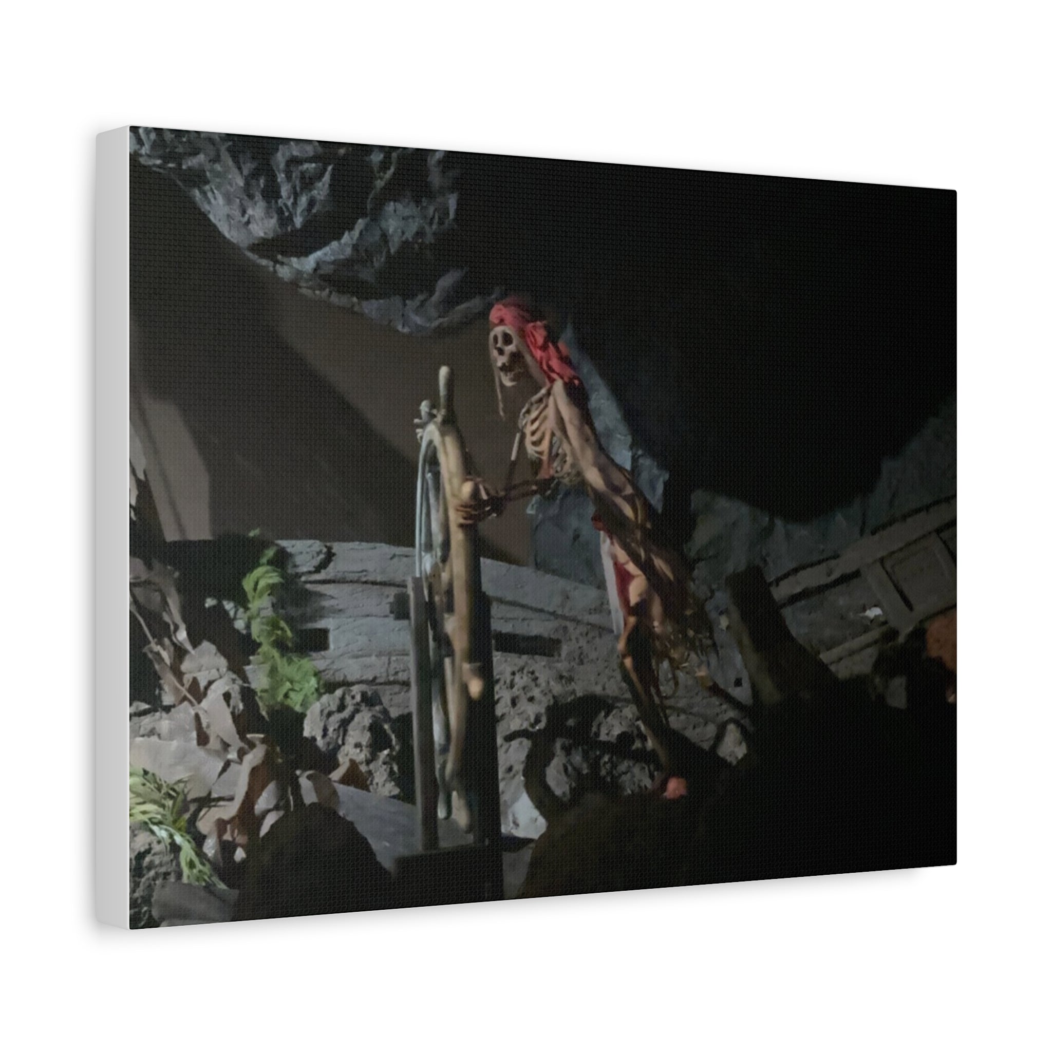 Shipwreck Skip Canvas Art