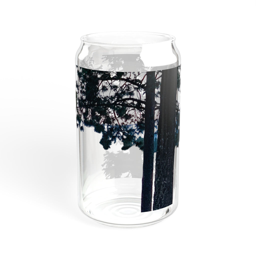 Clear Montana Lake Glass Sipper 16oz