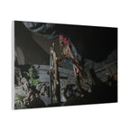 Shipwreck Skip Canvas Art