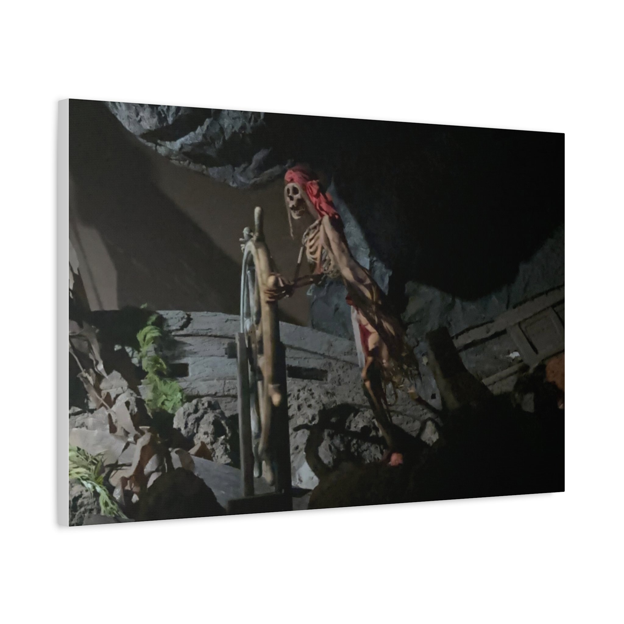 Shipwreck Skip Canvas Art