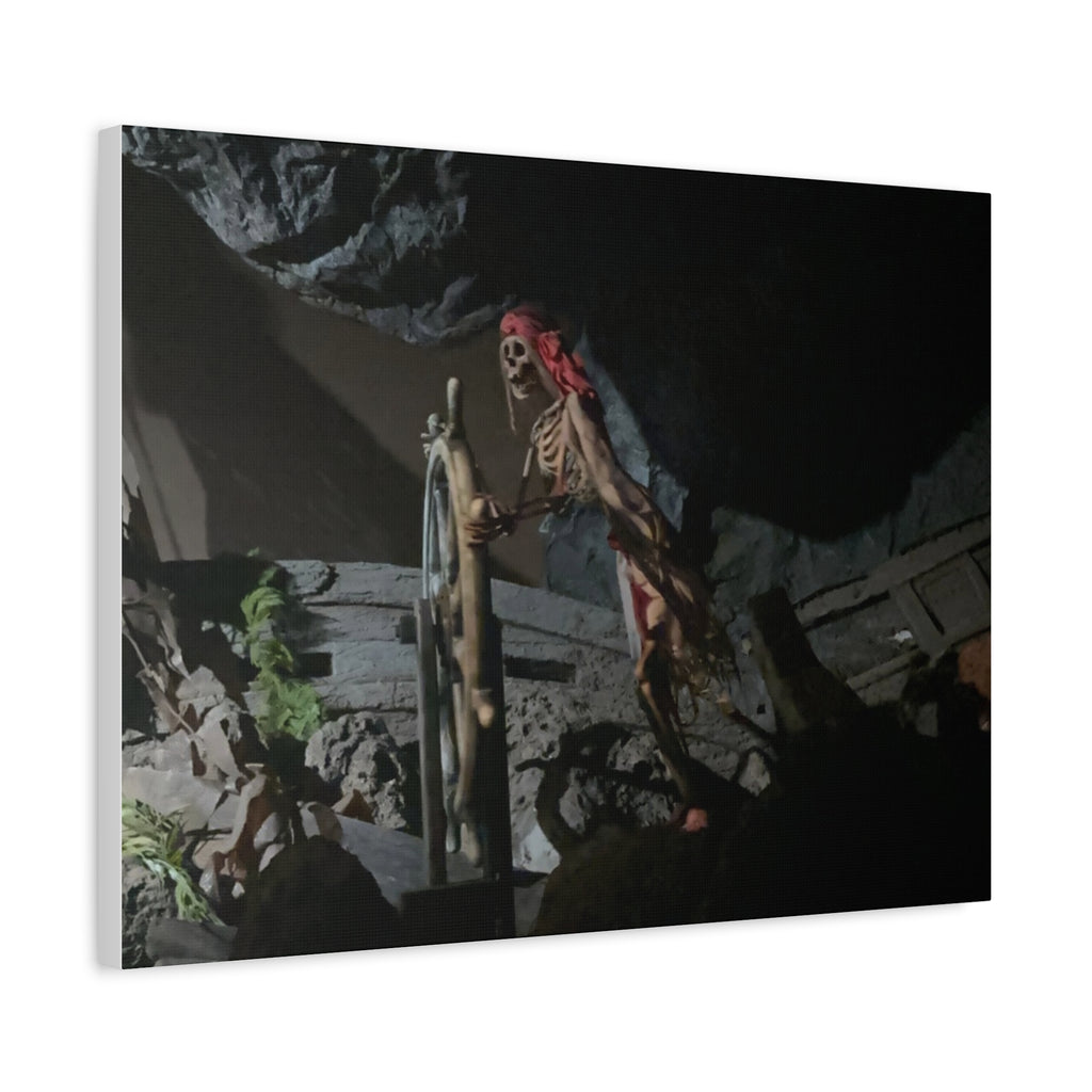 Shipwreck Skip Canvas Art