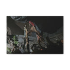 Shipwreck Skip Canvas Art