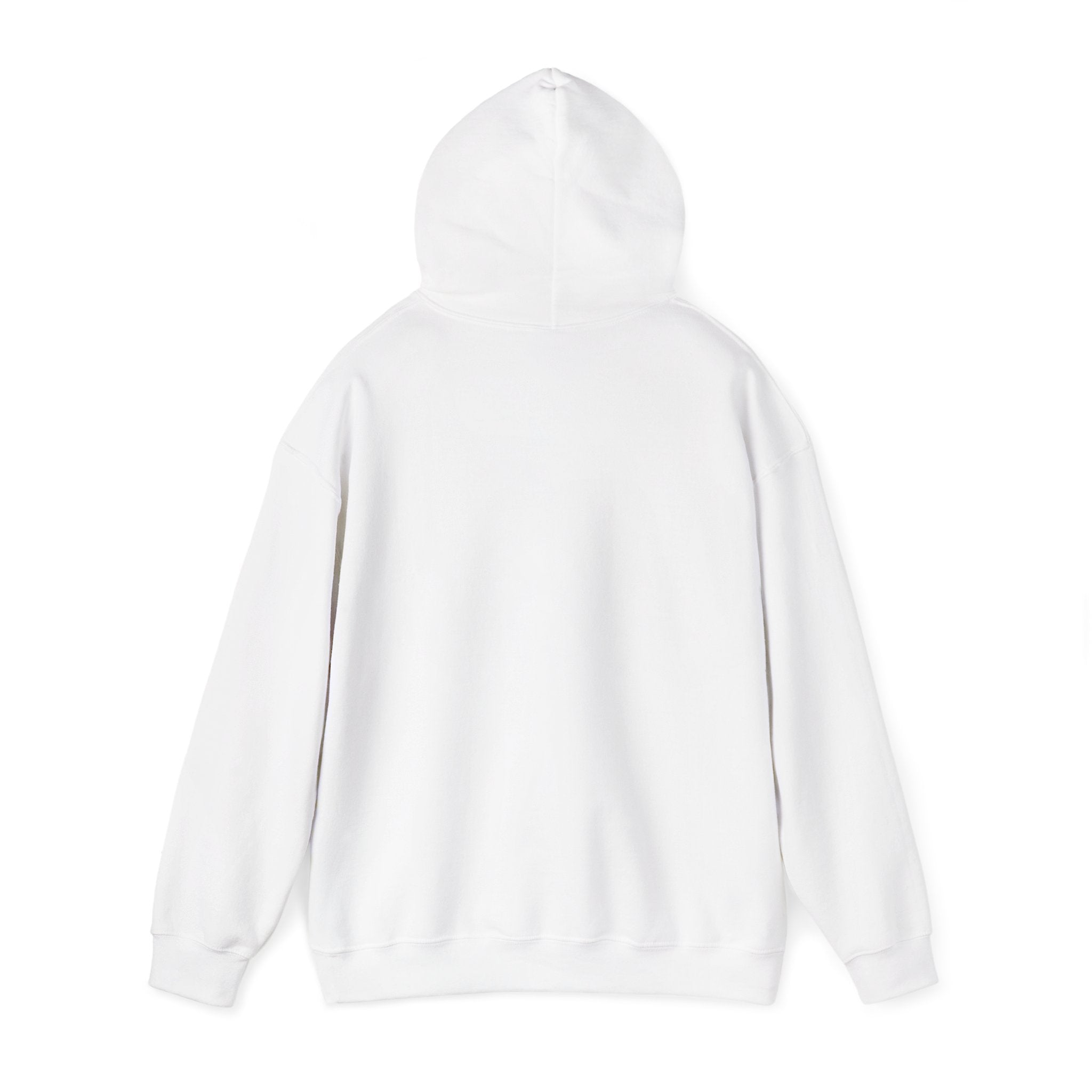 Shipwreck Skip Hoodie