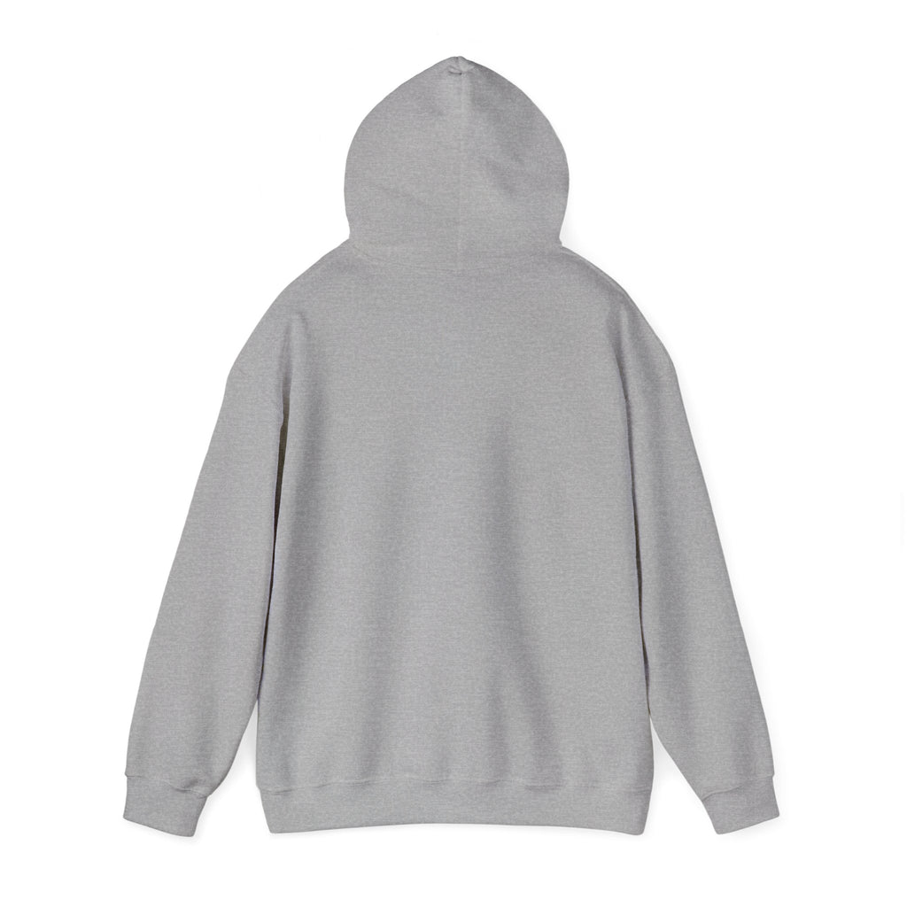 Shipwreck Skip Hoodie