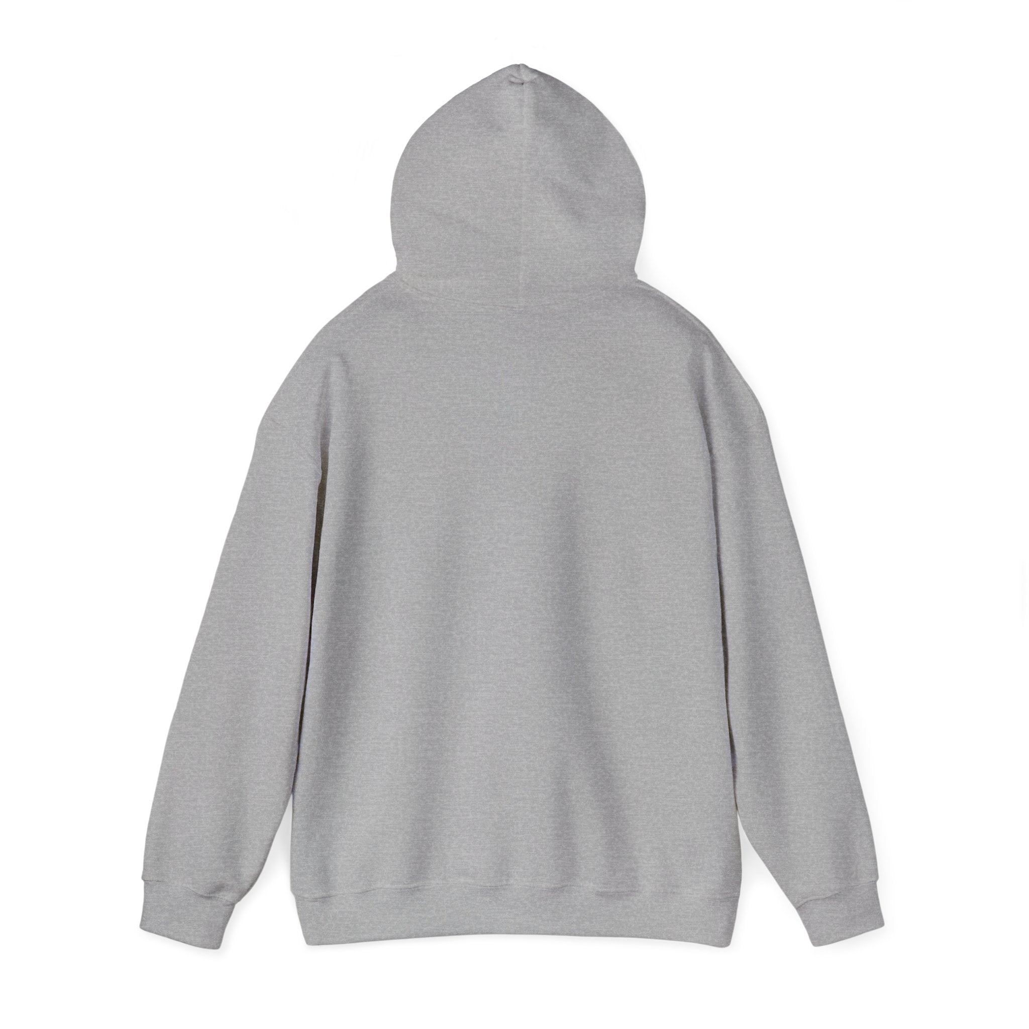 Shipwreck Skip Hoodie