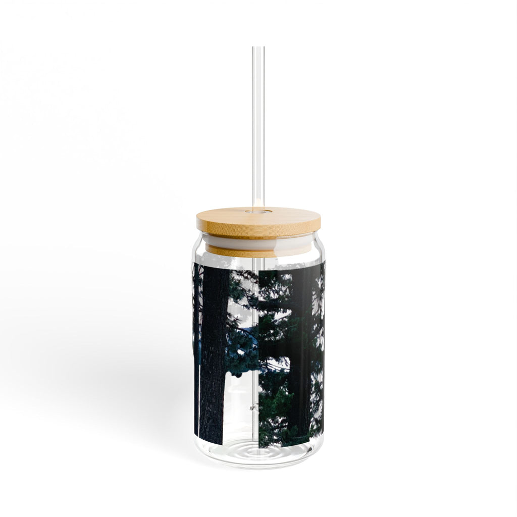 Clear Montana Lake Glass Sipper 16oz