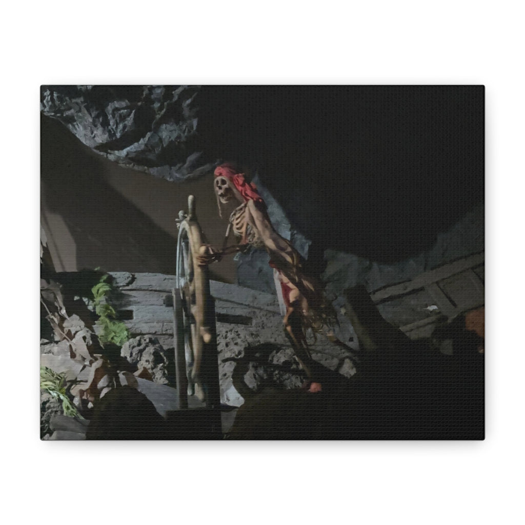 Shipwreck Skip Canvas Art