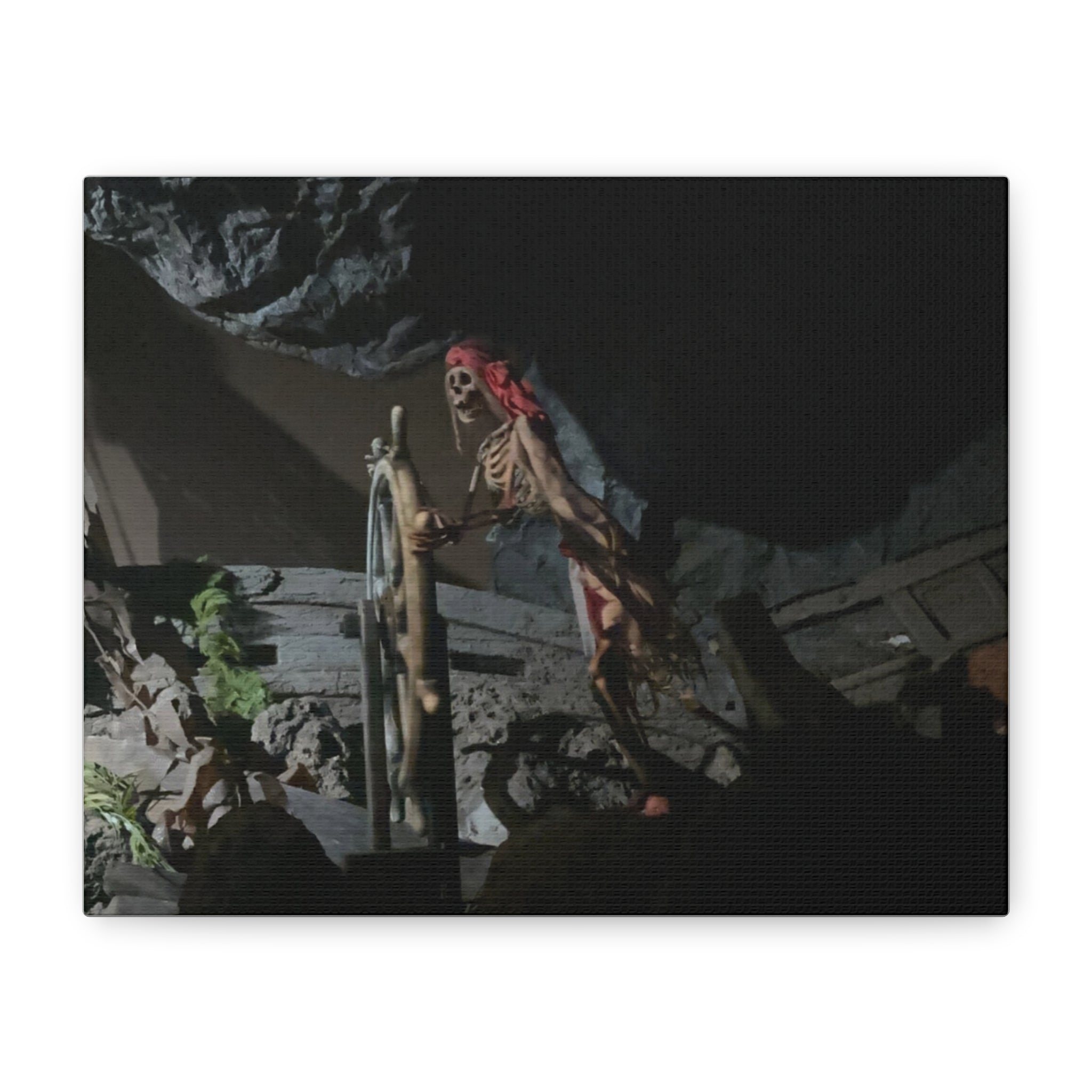 Shipwreck Skip Canvas Art